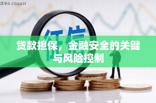 景谷贷款担保，金融安全的关键与风险控制