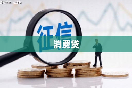 景谷消费贷