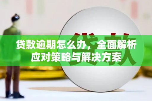 景谷贷款逾期怎么办，全面解析应对策略与解决方案