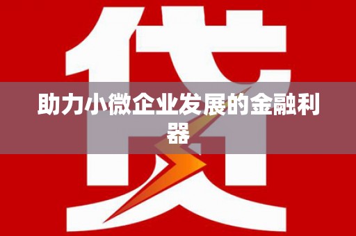 景谷助力小微企业发展的金融利器