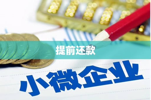 景谷提前还款