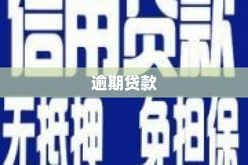 景谷逾期贷款